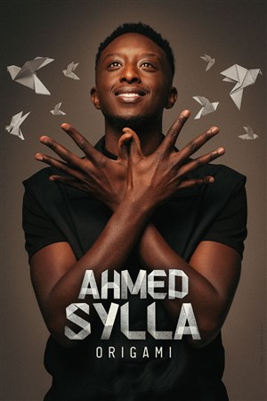 Affiche de Ahmed Sylla dans Origami
