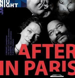 Affiche de After In Paris