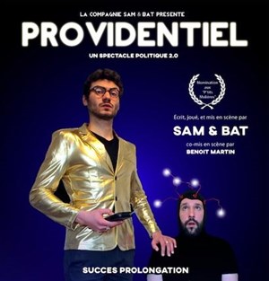 Affiche de Providentiel