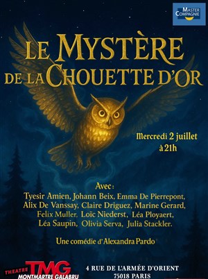 Affiche de Le mystère de la chouette d'or