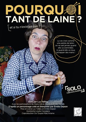 Affiche de Pourquoi tant de laine ? Et si tu n'existais pas ?