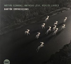Affiche de Bartók impressions