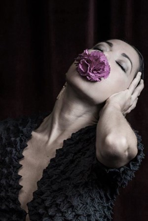 Affiche de Ana Morales Sin permiso | Canciones para el silencio