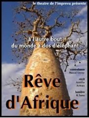 Affiche de Rêve d'Afrique