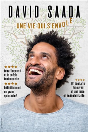 Affiche de David Saada dans Une vie qui s'envole