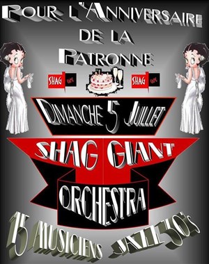 Affiche de Le Shag Giant Ochestra