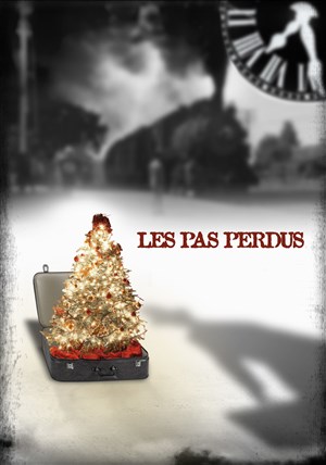 Affiche de Les pas perdus
