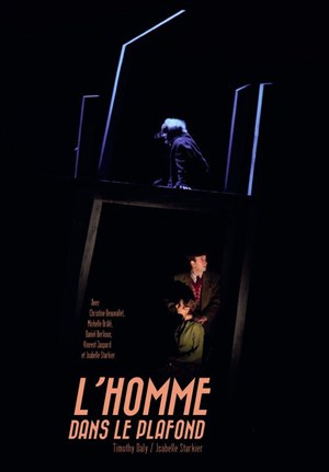 Affiche de L'Homme dans le plafond