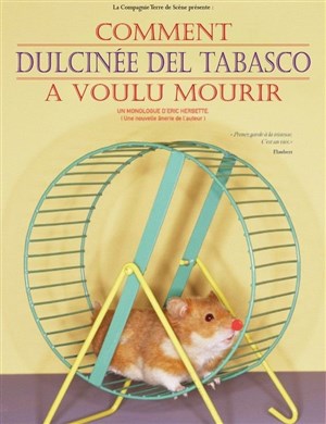 Affiche de Comment Dulcinée del Tabasco a voulu mourir
