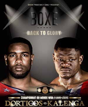Affiche de Championnat du monde WBA Lourds-légers