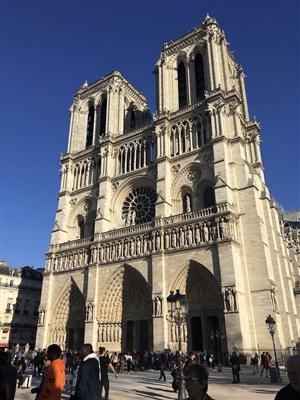 Affiche de Visite guidée : Merveilleuse île de la Cité | par Dorothée
