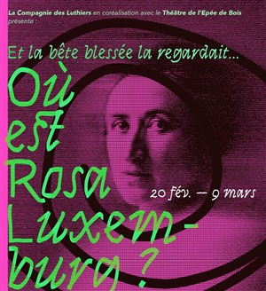 Affiche de Et la bête blessée la regardait... Où est Rosa Luxemburg ?
