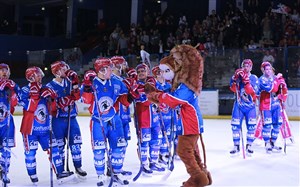 Affiche de LHC Les Lions / Strasbourg
