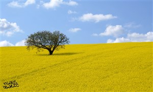 Affiche de Entre ciel et terre