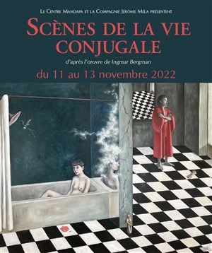 Affiche de Scènes de la vie conjugale