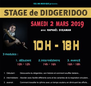 Affiche de Stage de didgeridoo