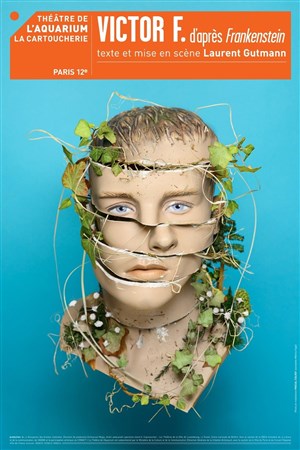 Affiche de Victor F
