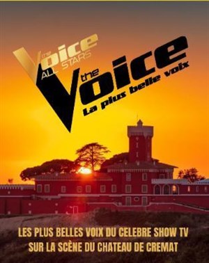 Affiche de The Voice - Les plus belles voix du célèbre Show TV