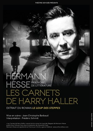 Affiche de Les Carnets de Harry Haller