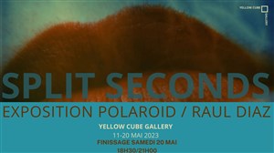 Affiche de Finissage : Split Seconds