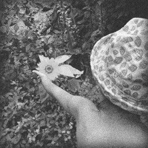 Affiche de Dans mon jardin