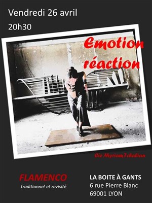 Affiche de Emotion - Réaction : Flamenco traditionnel et revisité