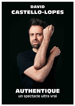 Affiche de David Castello-Lopes dans Authentique