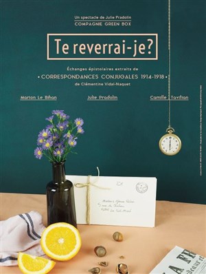 Affiche de Te reverrai-je ?