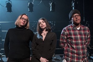 Affiche de Viril | avec Casey, Béatrice Dalle et Virginie Despentes