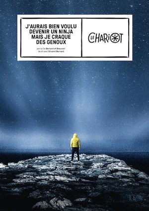 Affiche de J'aurais bien voulu devenir un ninja mais je craque des genoux