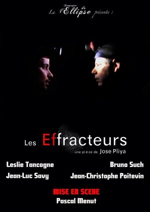 Affiche de Les effracteurs