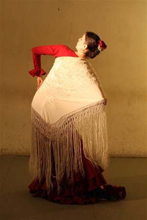 Affiche de Flamenco : El camino se hace al bailar