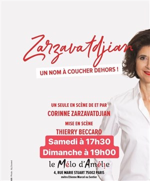 Affiche de Corinne Zarzavatdjian dans Zarzavatdjian un nom à coucher dehors !