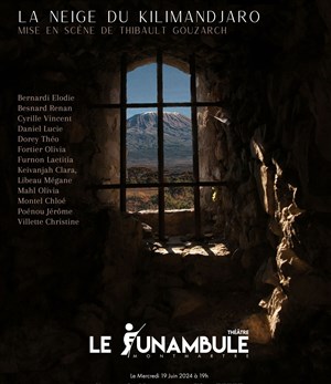 Affiche de La neige du Kilimandjaro