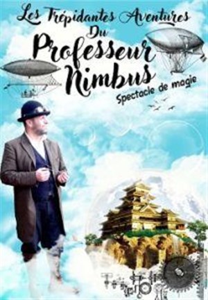 Affiche de Les Trépidantes Aventures du Professeur Nimbus