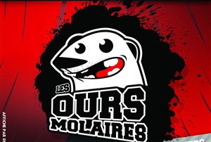 Affiche de Match d'impro : Les Ours Molaires