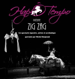 Affiche de Zig Zag