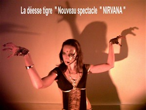 Affiche de Nirvana
