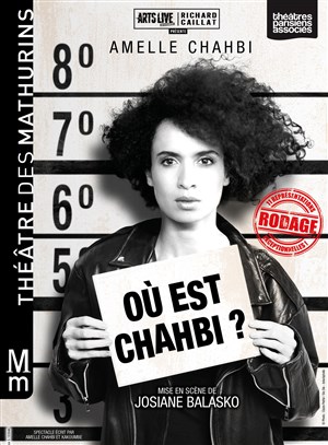 Affiche de Amelle Chahbi dans Où est Chahbi