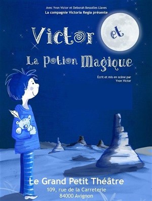 Affiche de Victor et la potion magique