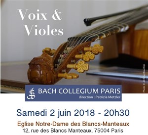 Affiche de Voix et Violes