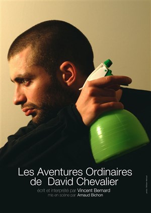 Affiche de Les aventures ordinaires de David Chevalier