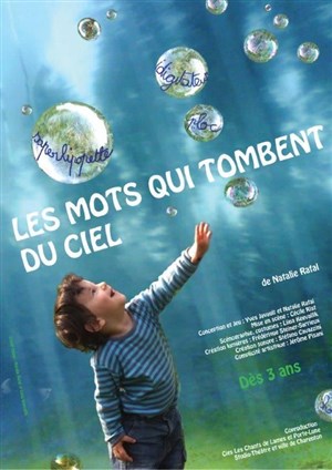 Affiche de Les mots qui tombent du ciel