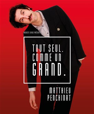 Affiche de Matthieu Penchinat dans Tout seul comme un grand