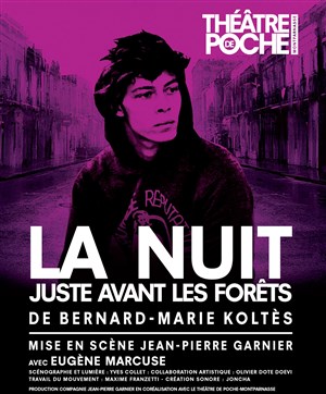 Affiche de La nuit juste avant les forêts