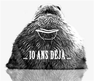 Affiche de Impro : Les 10 ans des Ours !