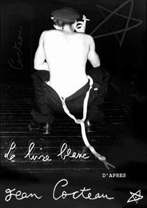 Affiche de Le Livre Blanc
