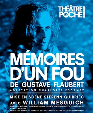 Affiche de Mémoires d'un fou
