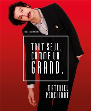 Affiche de Matthieu Penchinat dans Tout seul comme un grand