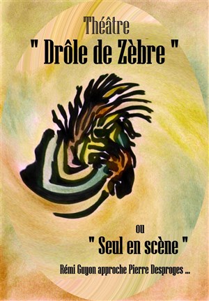 Affiche de Rémi Guyon dans Drôle de Zèbre
